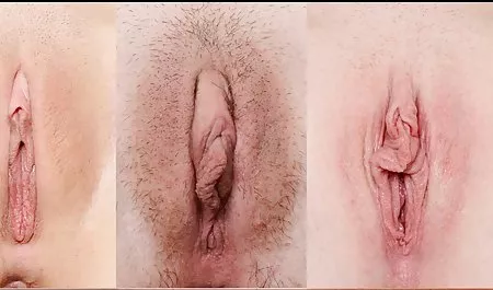 艾米布鲁克脚下的尾巴